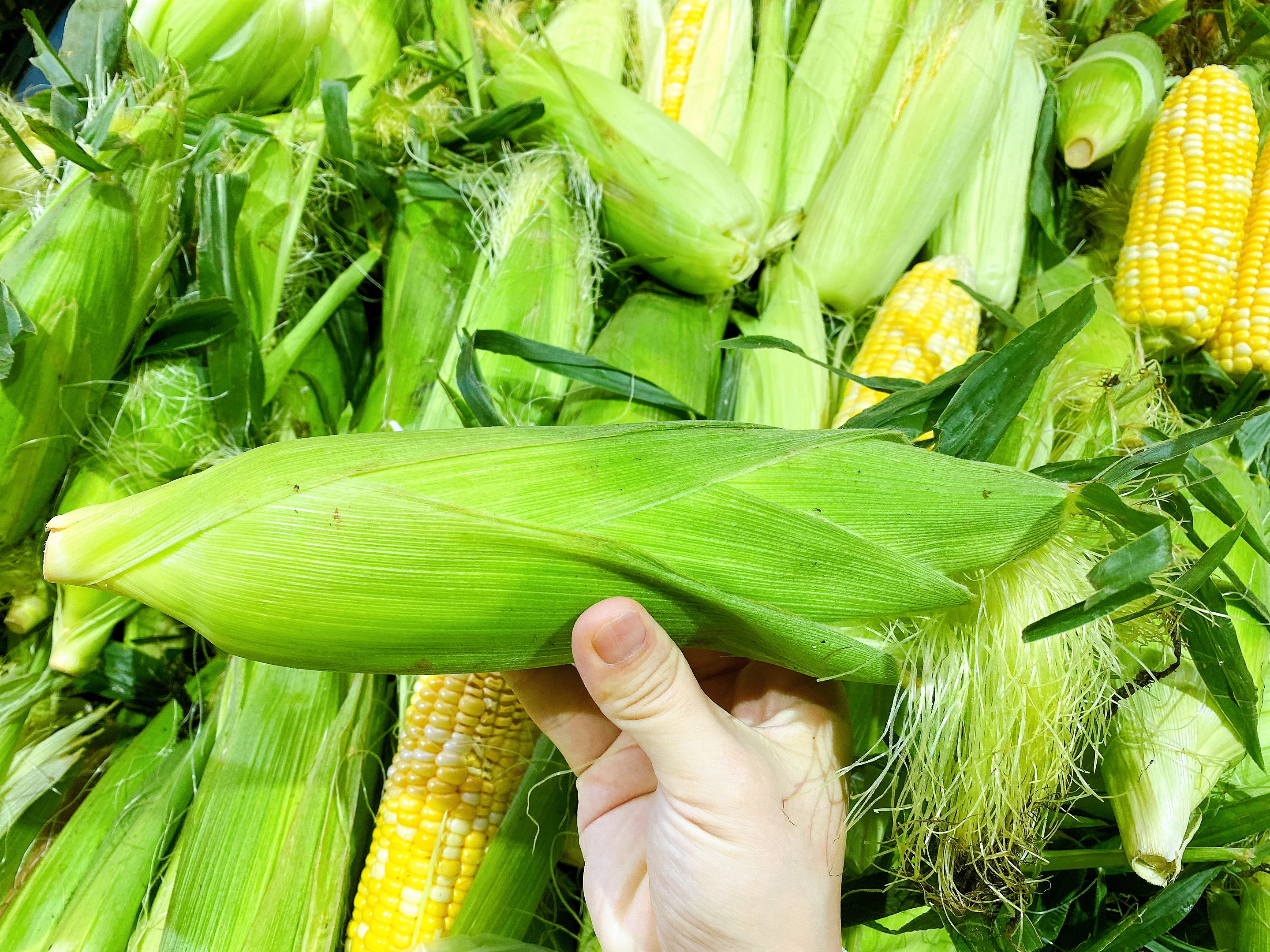 玉米保存有技巧，直接放冰箱冻就错了，多做2步，放一年还很鲜甜