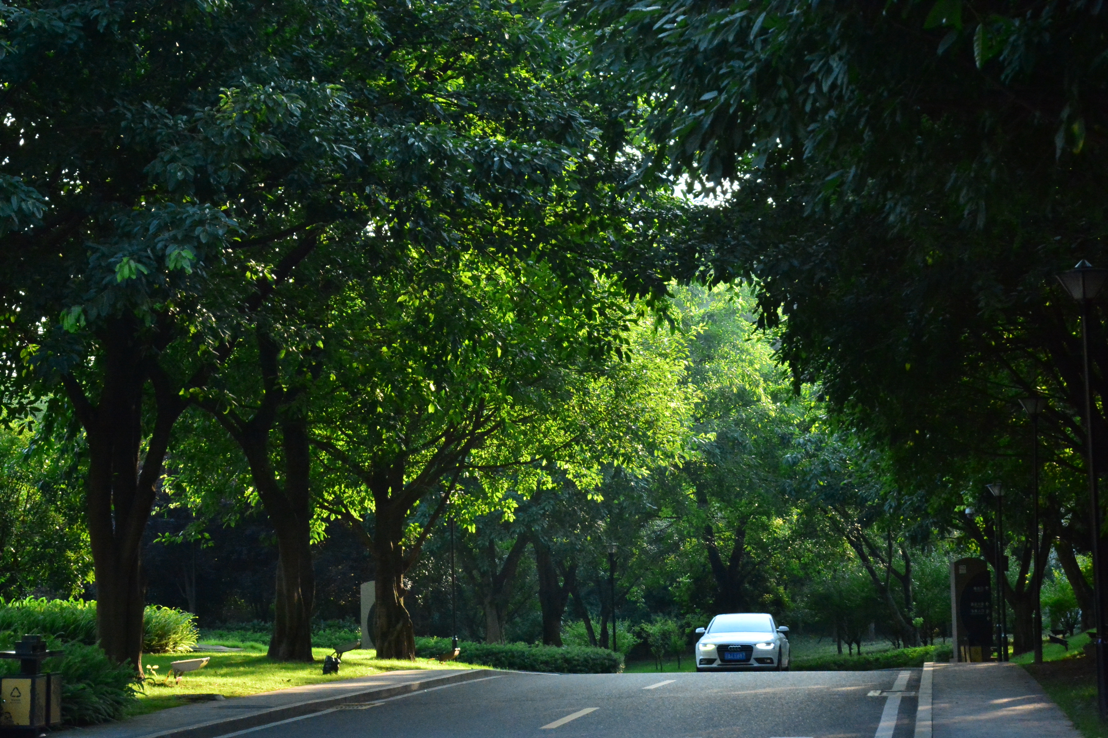 大门重修后的渝州宾馆：走路散步免费，开车穿越却要交钱？