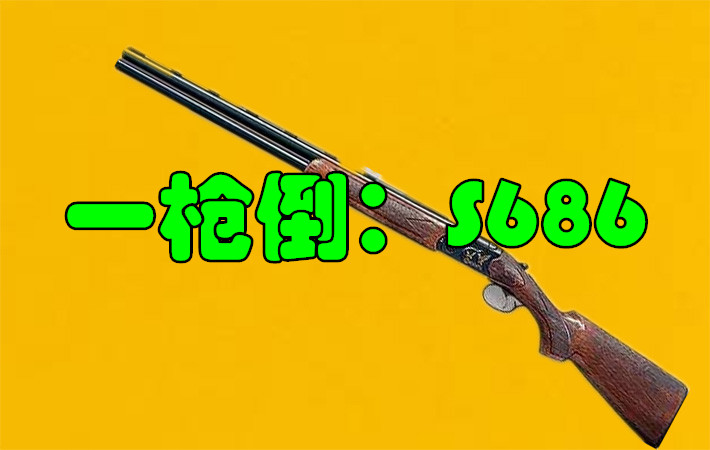 绝地求生：一枪必倒的3把枪械，第1枪王之王，第3众生平等之枪！