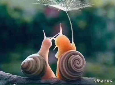 祝老公生日的霸气短句 老公生日快乐幽默俏皮图片