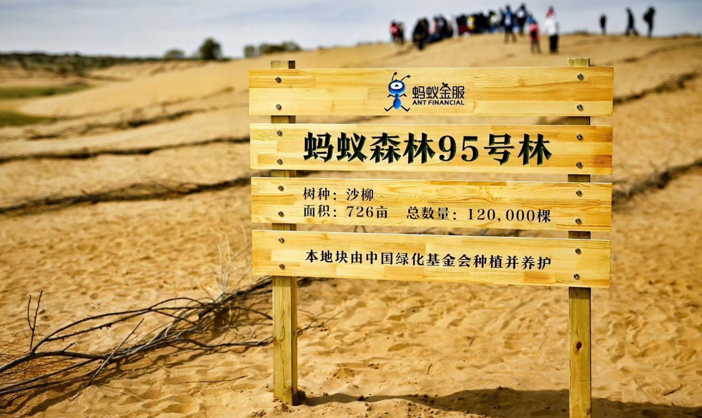 我们都错了，原来你是这样的“马云”