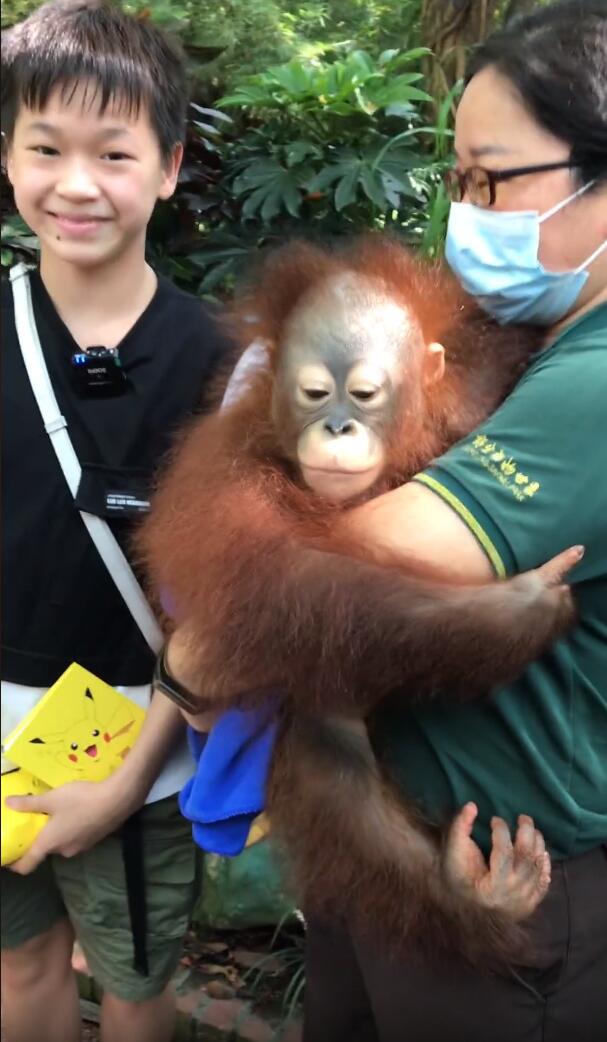 全红婵太开心了！接了广告后又逛动物园，还疑似入住超豪华酒店