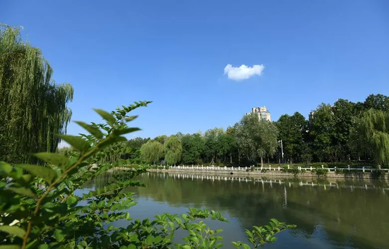 沭陽：讓花鄉(xiāng)美起來，成為美麗江蘇的美麗公園