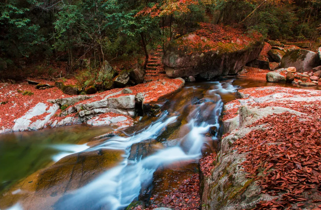 There is a heartbeat called the autumn of the Qinba Mountains!  Red leaves in clear autumn, encounter romantic scenery