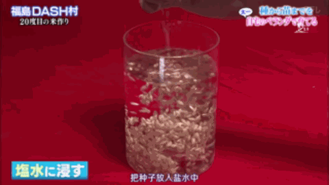 日本人，真会玩儿！这个日本综艺告诉你，如何