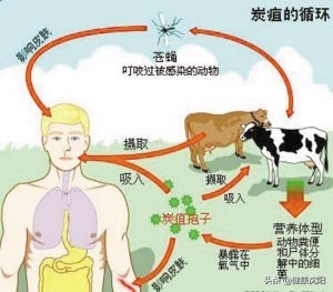 健康知识普及行动系列科普知识讲座之职业卫生健康篇