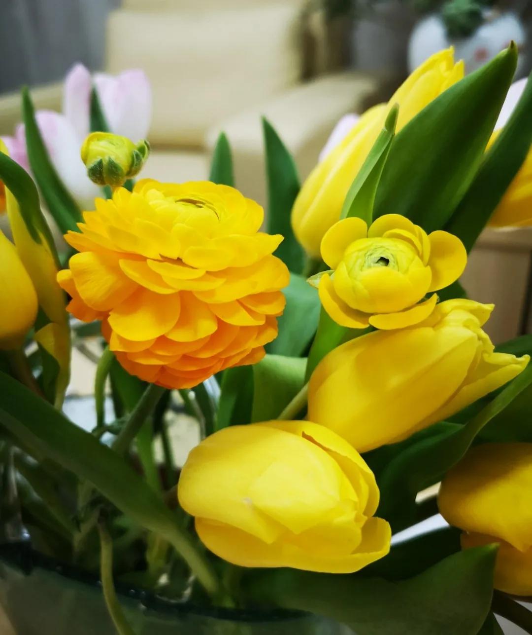 成都市华阳中学附属小学举行“三八妇女节”庆祝活动