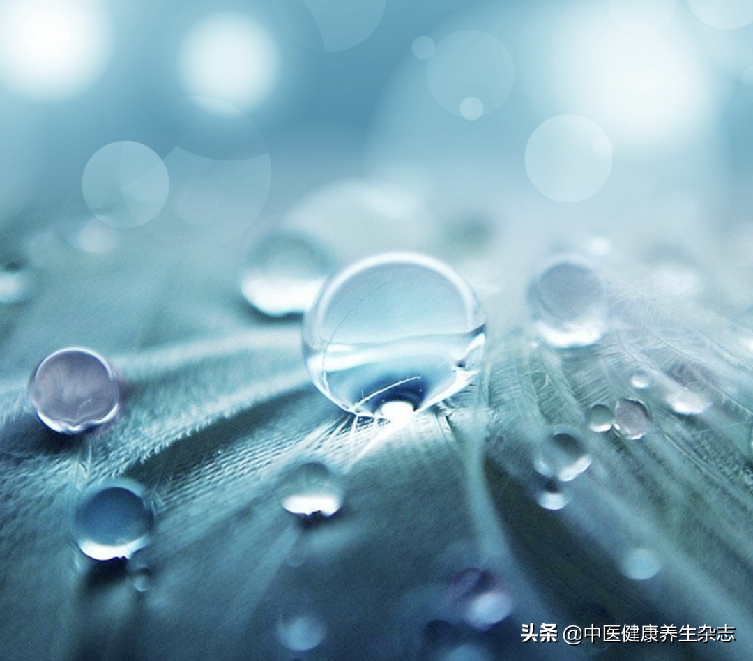 白露节气养生法则：滋阴润肺“吃三白”，补水润肤可饮茶