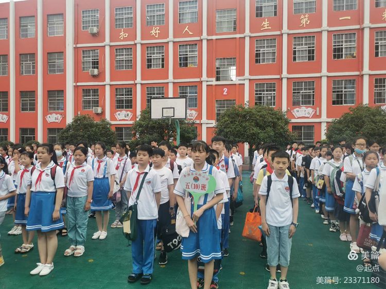 平舆县实验小学怎么样?开展文明礼仪在校园活动(图9)