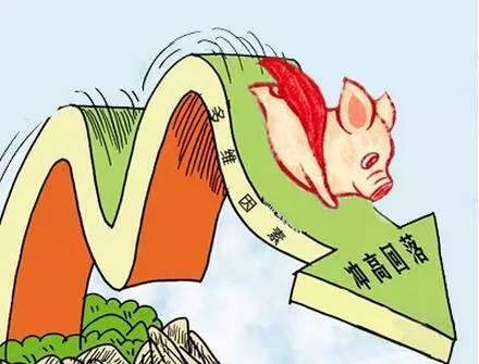 中国生猪交易市场今日热点：暴跌影响仍存！猪