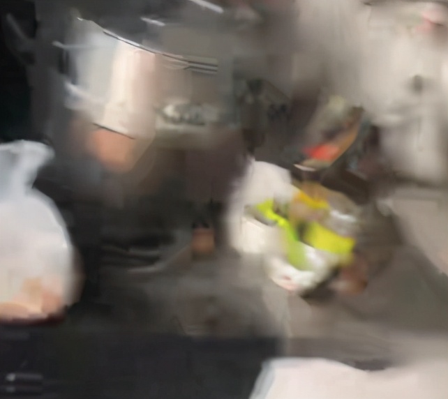 大衣哥吃饭被嘲，整盆馒头发霉泛黑还在吃，厨