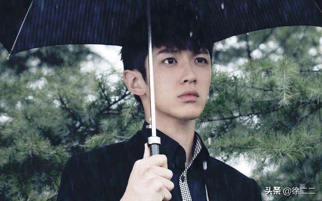 “红得快，凉得更快”的4大男星，如今无人问津