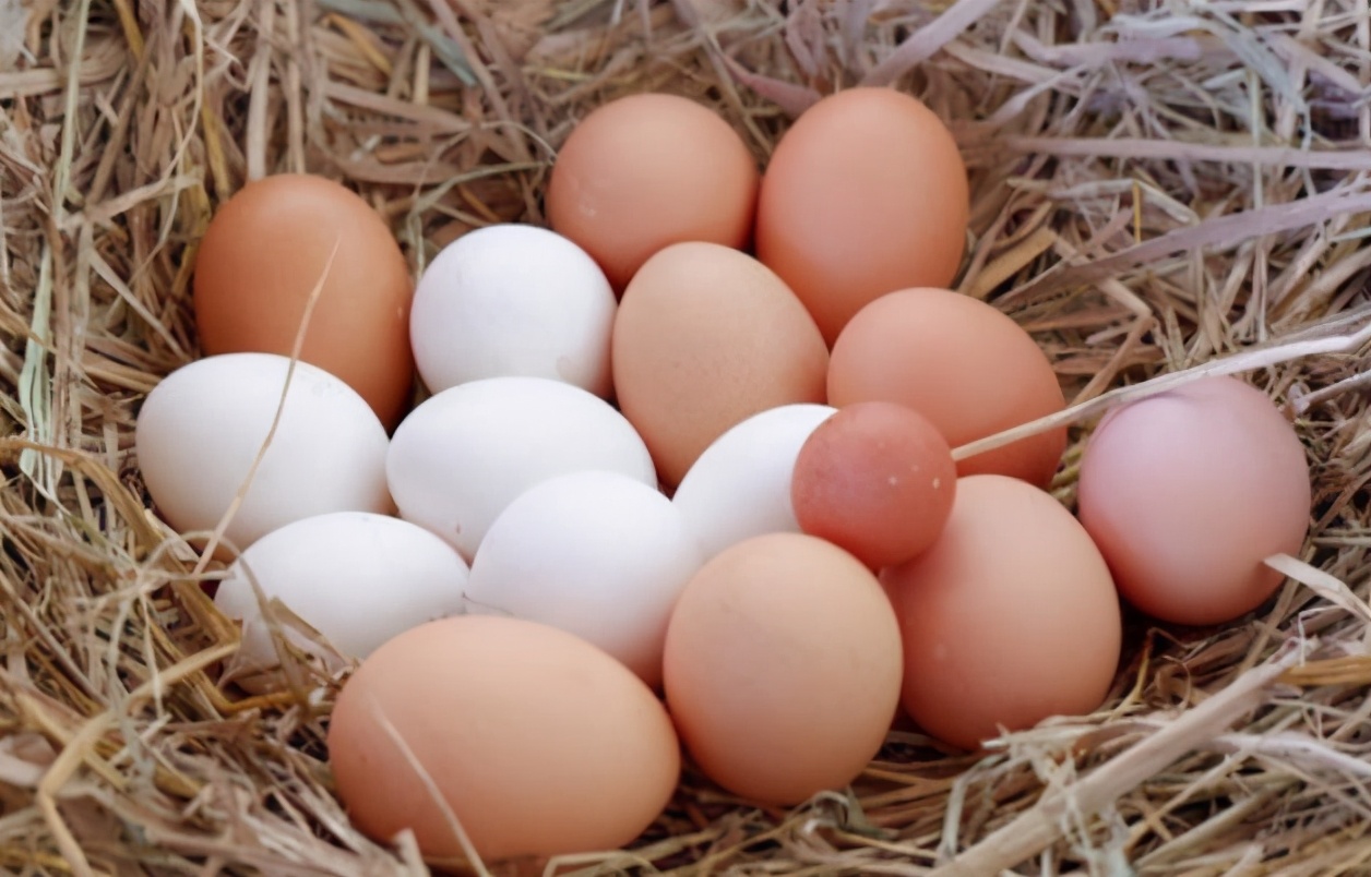 图片[3]-如何挑选新鲜好鸡蛋-起舞食谱网