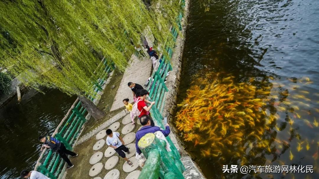 速看！清明节踏青，赢门票+漂流