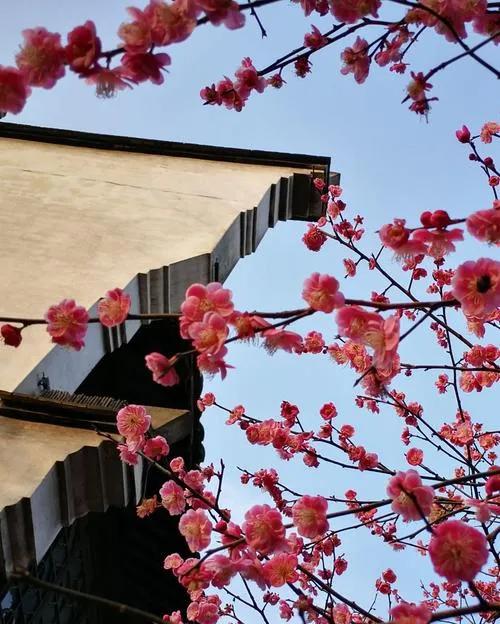 前瞻性思维，优秀文章的先行者