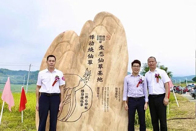 2020燒仙草報(bào)告發(fā)布：1億人愛(ài)喝的燒仙草，一年賣出約5億杯