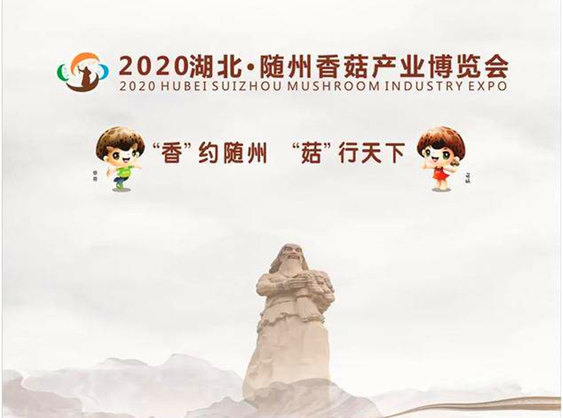 小万黄：农村小伙讲述随州冬花菇种植过程