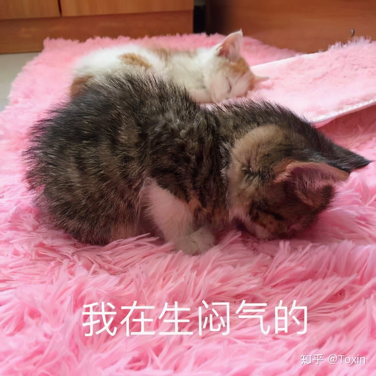 生育保险不会用，结果痛失好几万 第5张