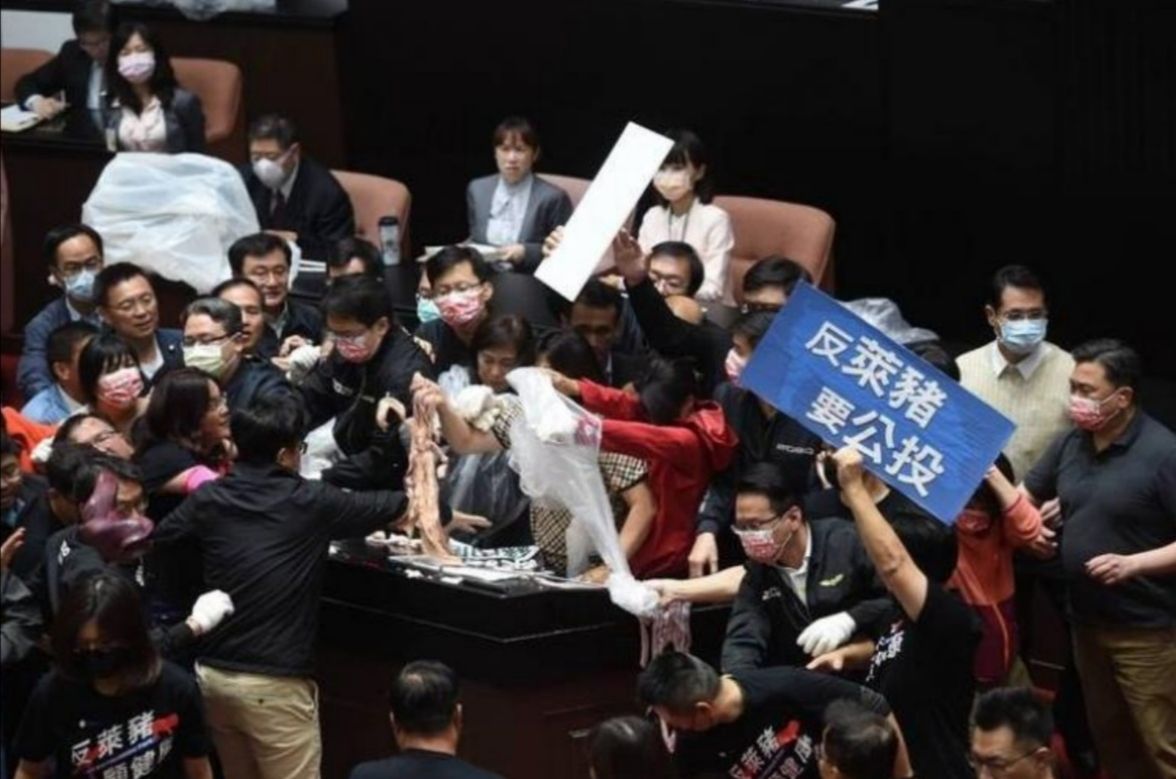 台灣民主就是作秀，豬大腸滿場飛，國民黨民進黨比爛
