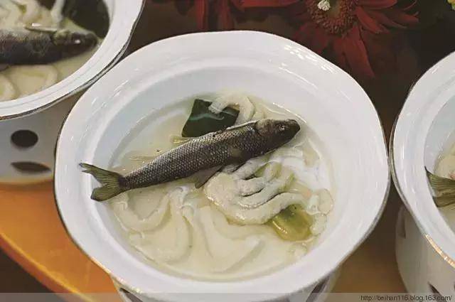泰山赤鳞鱼——中国五大名贵鱼