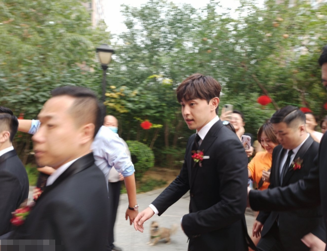 伴郎|石家庄专业伴郎户邓伦今天又上线啦！不愧是伴郎专业户 可以开一家婚庆公司了