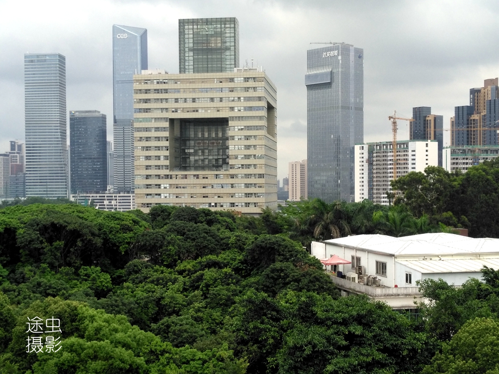 深圳大学俯瞰图(在深圳大学俯瞰深圳最强区南山区，天际线壮观，绿化更值得点赞！)