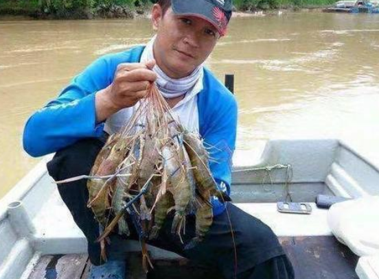 湄公河鱼虾泛滥，一只虾有巴掌大，为什么吃货