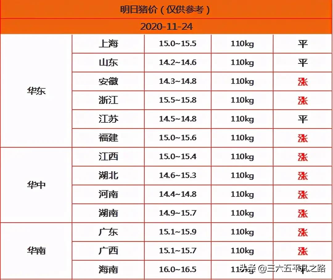 明日豬價早知道:11月24號豬價12漲3跌,一頭豬多賺25元