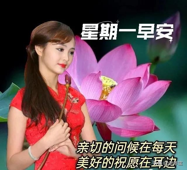 最新周一早上好表情图 周一早安暖心问候图片图片