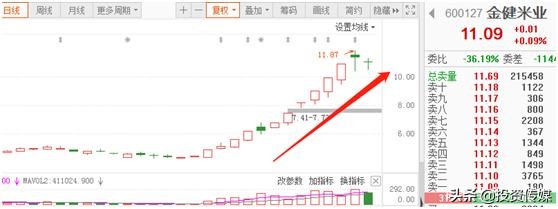 中国股市：这些潜力龙头股，未来有望走出50倍甚