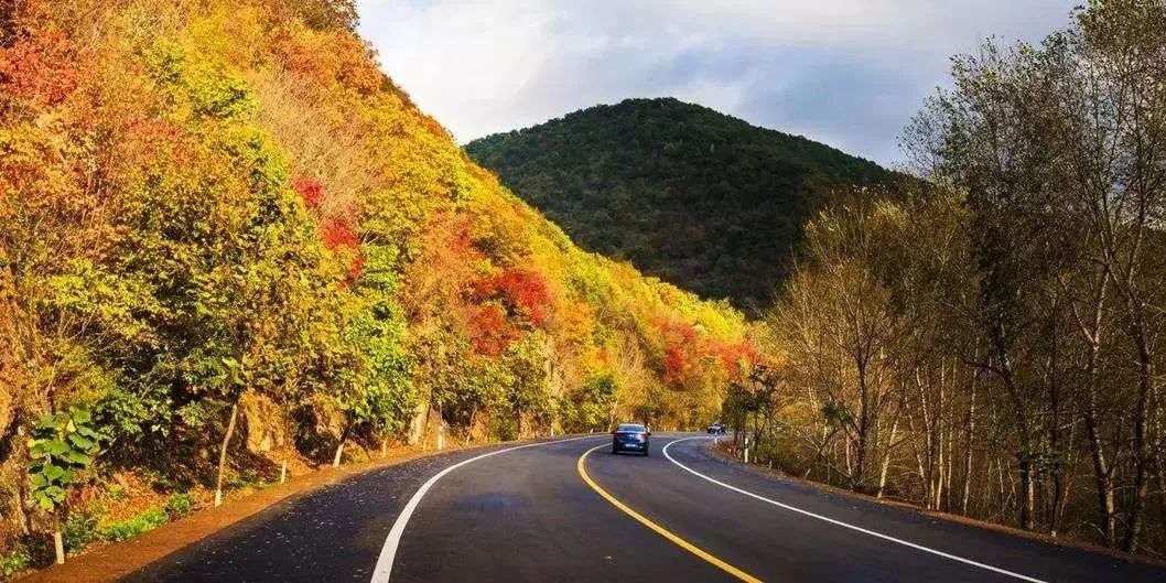 Missing these 14 maple viewing areas in November is equivalent to missing the entire autumn