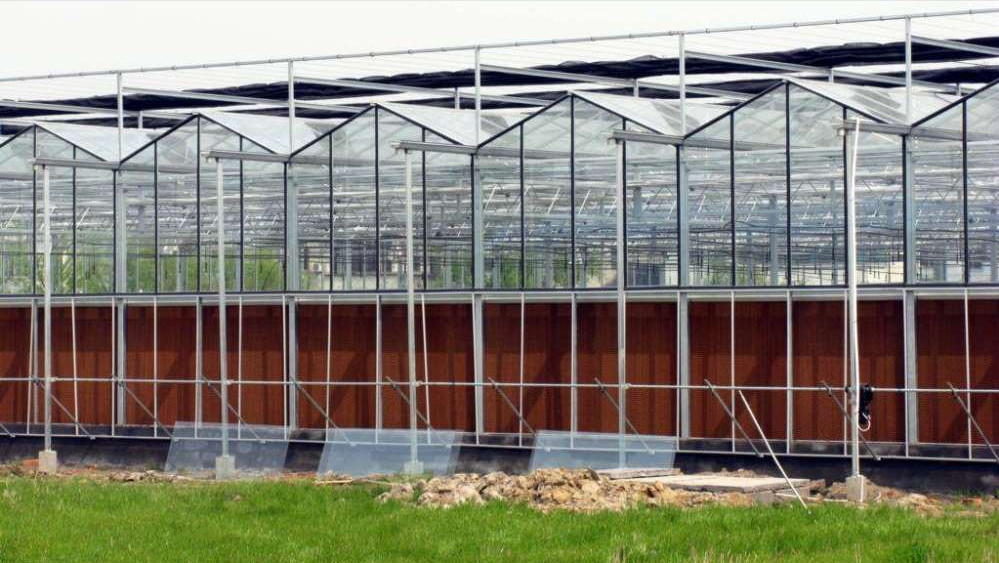 玻璃温室通风降温系统工作原理是怎样的？农业种植为什么使用它