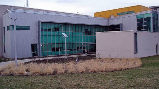 神秘病毒昆虫出现在俄罗斯，克宫质问：美军实