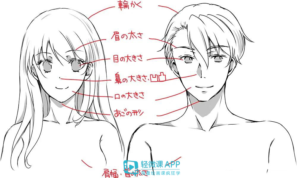 如何画动漫男生角色脸部人物的五官详细画法