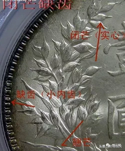 三年小嘉禾版又称三年九背