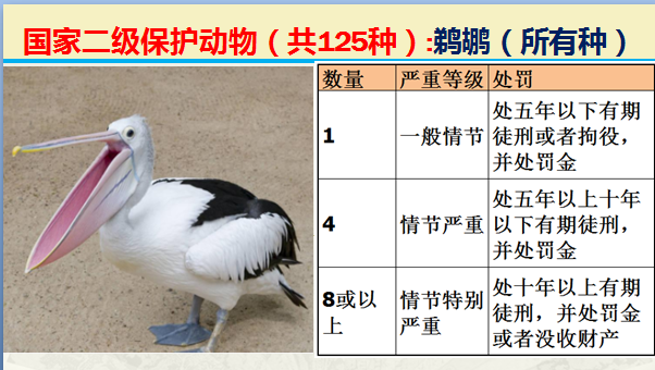 国家最新125类二级野生保护名录，图片及违法对应刑责