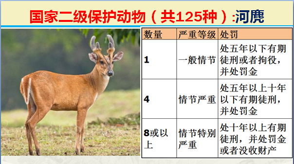 国家最新125类二级野生保护名录，图片及违法对应刑责