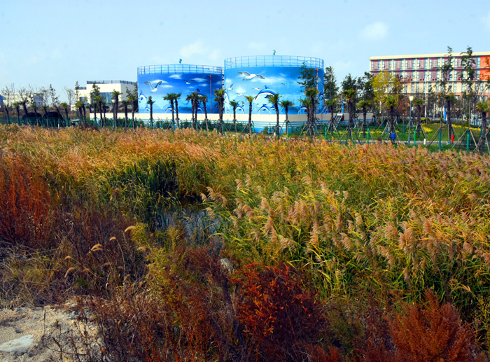 江苏旅游：探秘启东长江入海口（图）