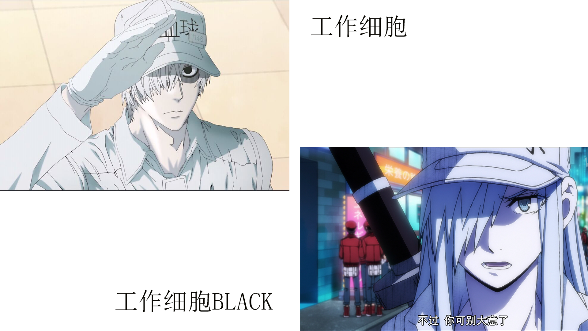 為什麼《工作細胞BLACK》的細胞比本傳中還要好看啊？混蛋