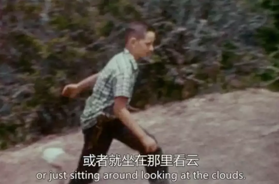 票房超百亿,他的电影总能让人长跪不起