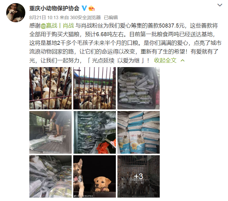 肖战粉丝再做公益：这次为流浪猫再出一份力，黑粉们无话可说了