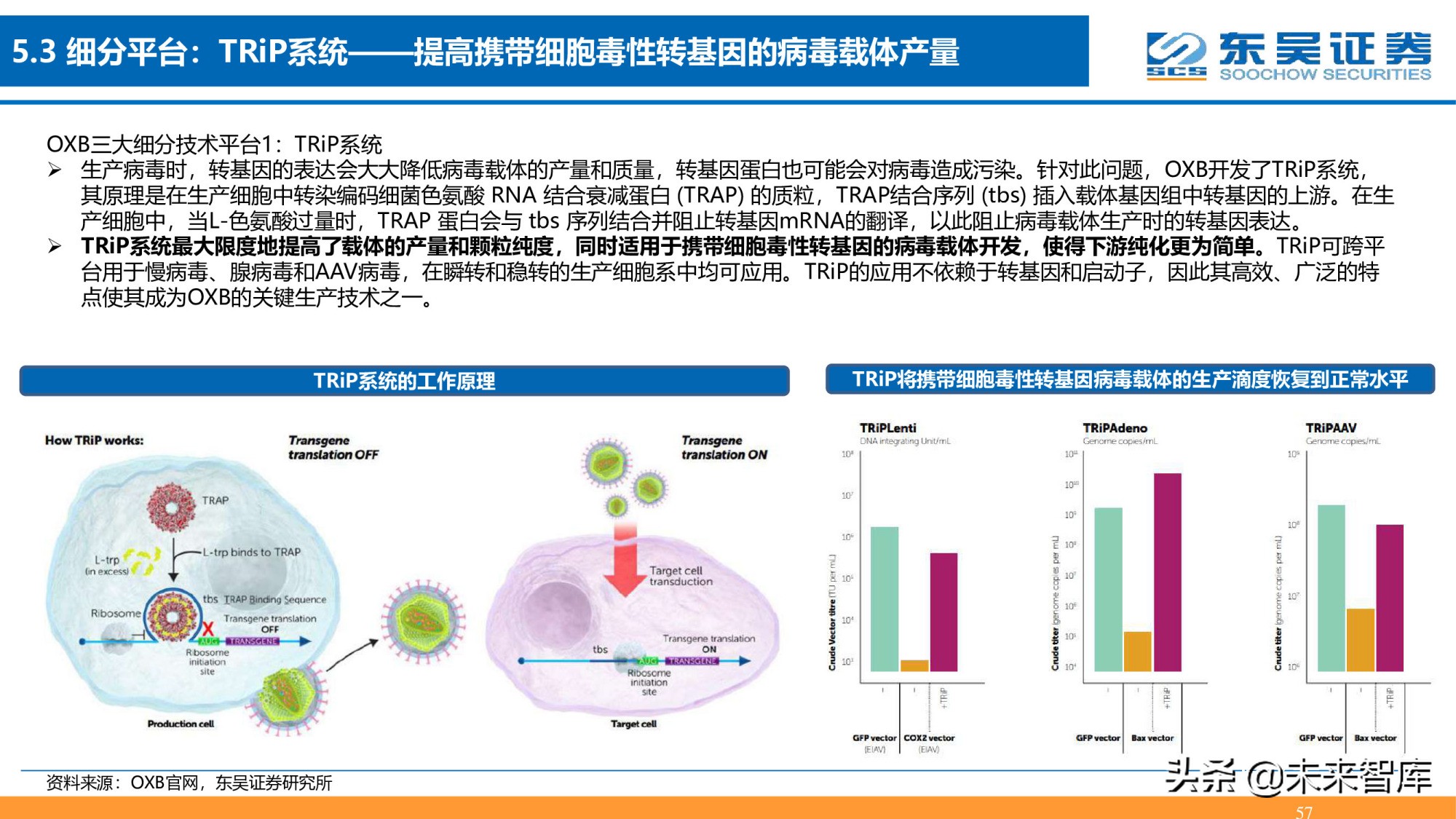 细胞基因治疗CDMO行业深度报告：星火已成燎原势