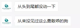 没错，狗也能献血，但被“人”喷闲得慌，说狗不配人的待遇