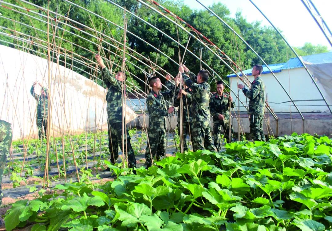 侯<a href=http://www.cngansu.cn/news/ target=_blank class=infotextkey></a>֧ܶӣٱ ḻӡ