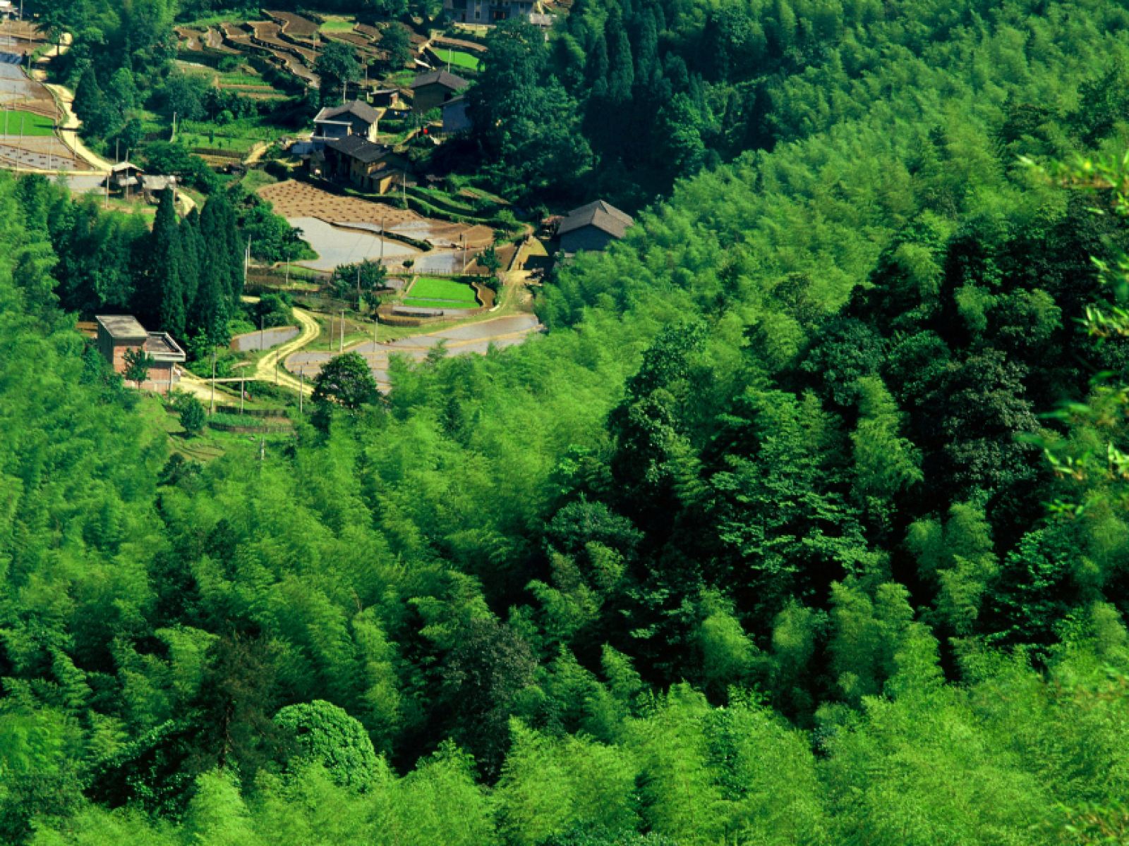 How many of the nine classic tourist attractions in Jiangxi have you been to?