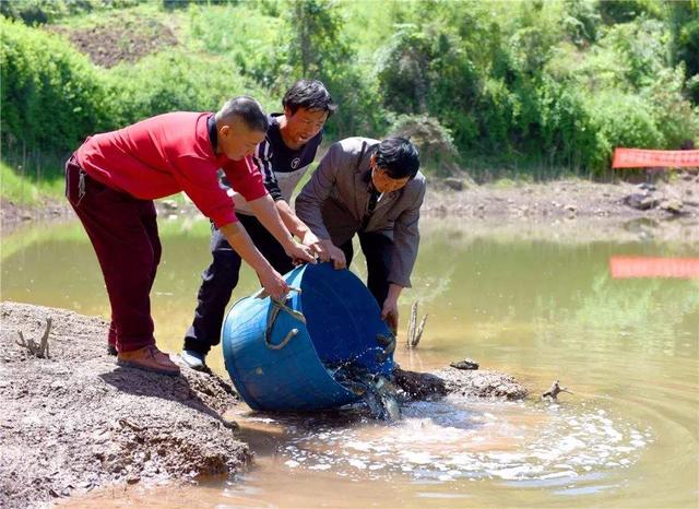 水产养殖：苗种投放时节和苗种规格大小