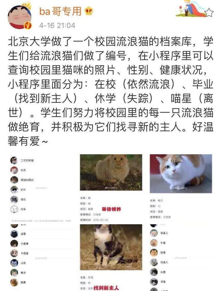 骂这禽兽我绝不道歉