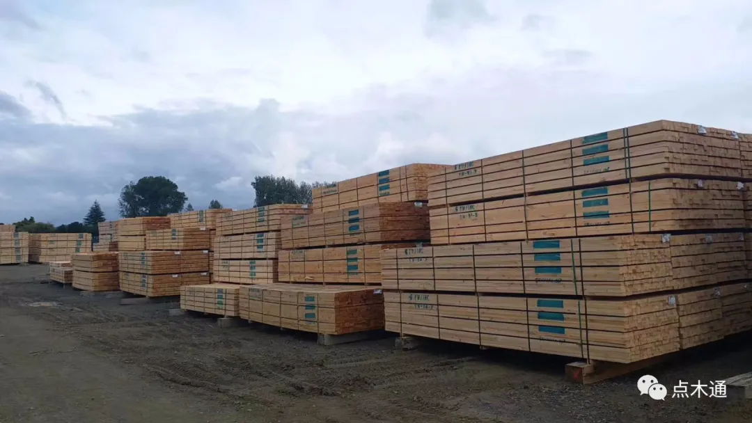 山东环保严查停工停产，木材价格应声小幅上涨