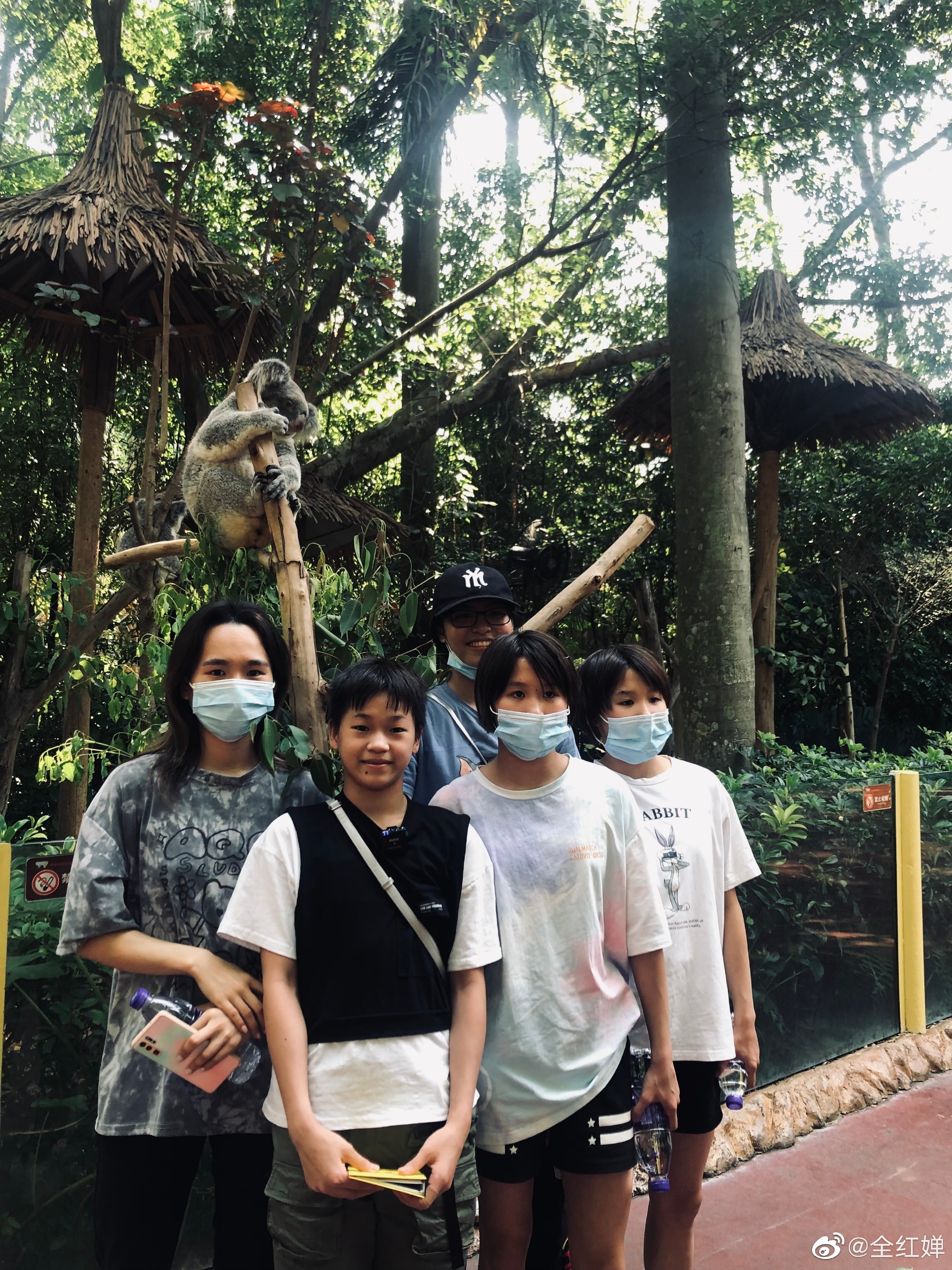 全红婵最新发文！狂晒7张照片，14岁奥运冠军成熟了，文采飞扬