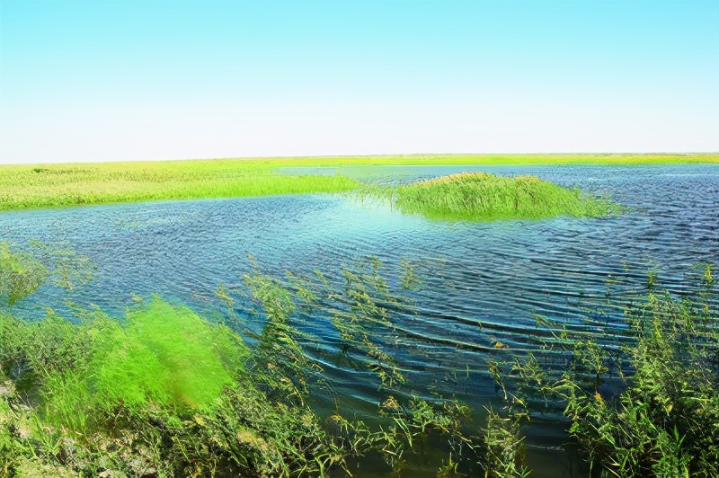 做自媒体一个月的真实经历，收入寥寥，却信心满满